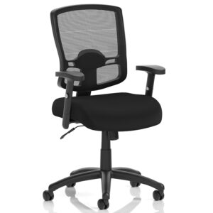 Portland Ergonomic Mesh Office Chair - Adjustable Arms, Lumbar Support