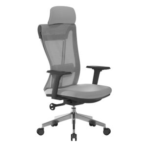 Moritz Ergonomic Mesh Chair – Certified for 24-Hour Comfort